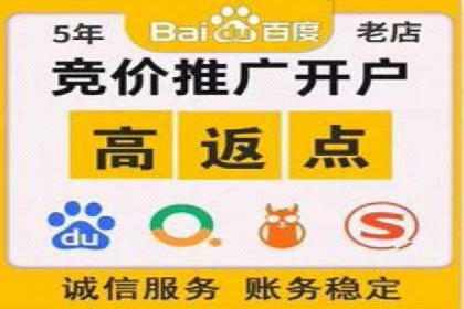 深入了解SEM代运营服务公司的技术实力